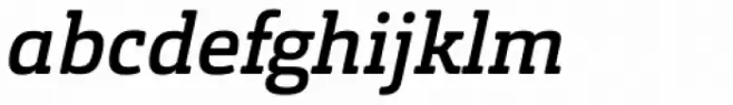 Orgon Slab Medium Italic