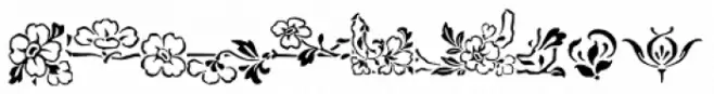 Ornata E