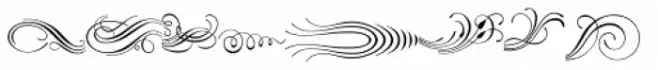 Ornata G