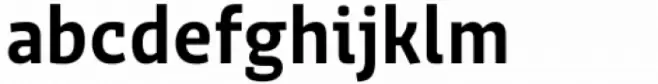 Orto Bold