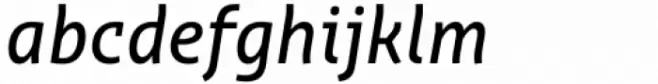 Orto Medium Italic