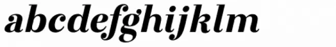 Otama Black Italic