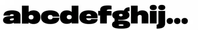 Otoiwo Grotesk Extended Black