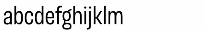Otoiwo Grotesk Narrow Regular