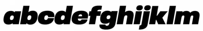 Otoiwo Grotesk Normal Black Italic