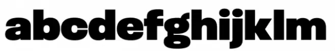 Otoiwo Grotesk Normal Black