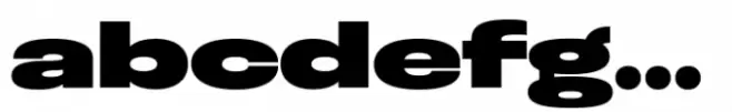 Otoiwo Grotesk Ultra Wide Black