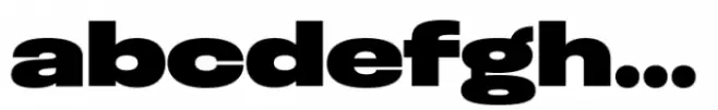 Otoiwo Grotesk Wide Black