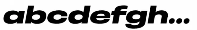 Otoiwo Grotesk Wide Extra Bold Italic