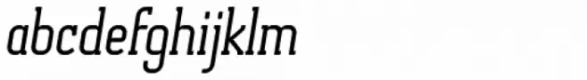 Otsu Slab Book Italic