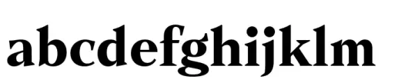 Ozana Pro Text Bold