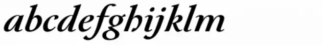 Paciencia Bold Italic