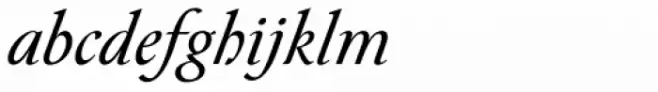 Paciencia Regular Italic