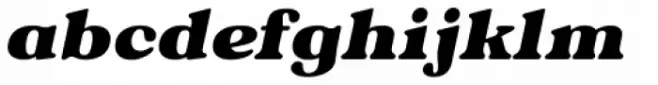 Pageantry Heavy Italic