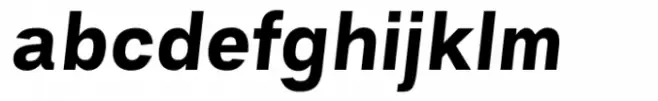 Pagram Bold Italic