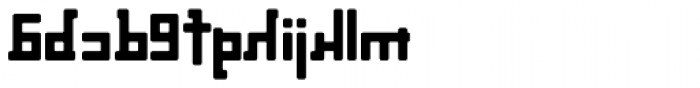 Palindrome Round Mirror