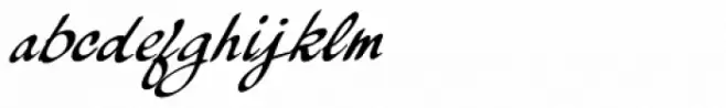 Palisade Bold Italic