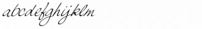 Palisade Light Italic