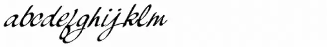 Palisade Medium Italic