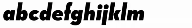 Paneuropa XXI Black Italic
