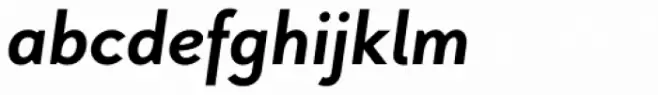Pani Sans Bold Italic