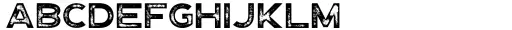 Paper Tiger Sans Print Regular
