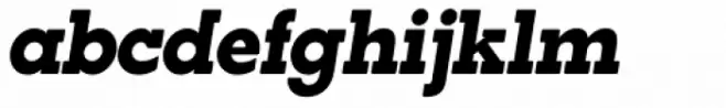 Paralex Heavy Italic