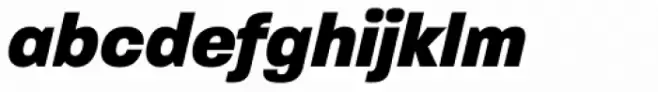 Paralucent Heavy Italic