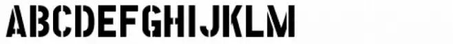 Paramilitary JNL