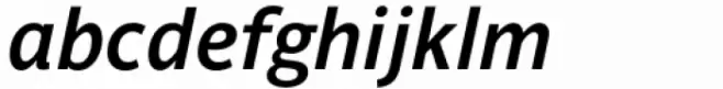 Parisine Std Gris Bold Italic