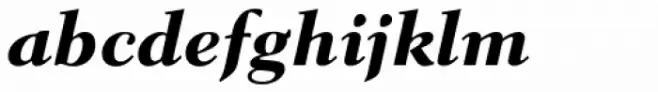 Parkinson Electra Pro Heavy Italic