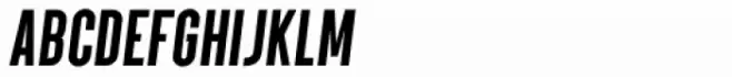 Parkson Black Italic