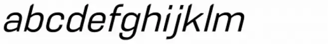 PCTL4800 Light Italic