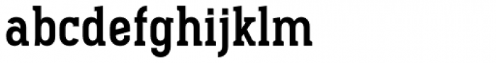 Pekora Bold Serif