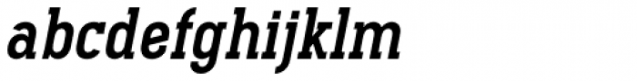 Pekora Bold Slab Serif Italic