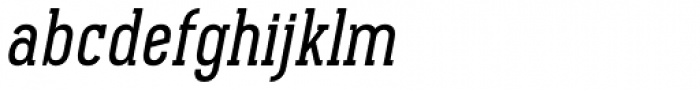 Pekora Regular Slab Serif Italic