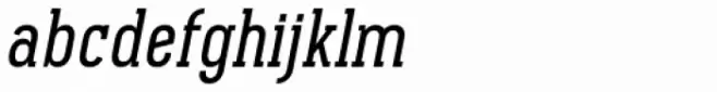 Pekora Regular Slab Serif Italic