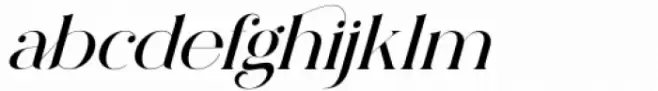 Pelagic Bird Bold Italic