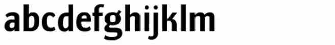 Pelegotic Bold