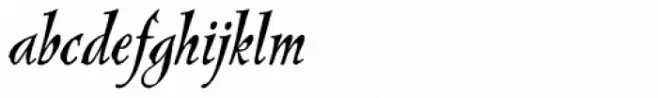 Pelican Regular