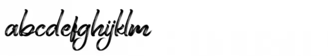 Perfect Bomber Handwritten