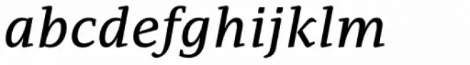 PF Adamant Pro Medium Italic