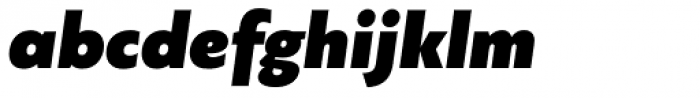 PF Bague Sans Std UltraBlack Italic