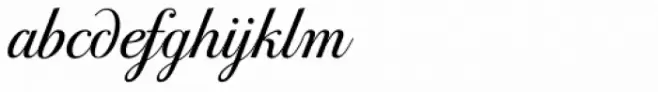 PF Bodoni Script Pro