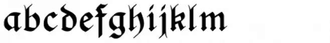 PhederFrack Bold