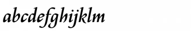 Philomela Italic Dark