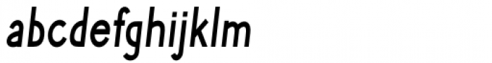Phlebodium Condensed Bold Italic