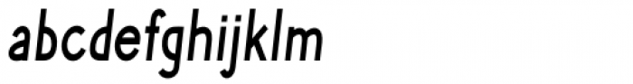 Phlebodium Condensed Medium Italic