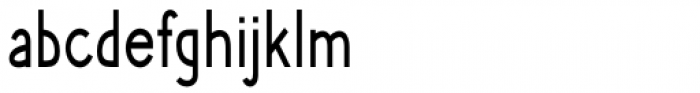 Phlebodium Condensed Regular