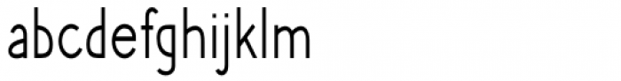Phlebodium Condensed Thin